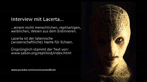 lacerta interview